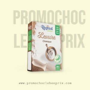 REGINAT LEVURE CHUMIQUE SANS GLUTEN