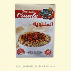 RYAM PATE COUDE 300G
