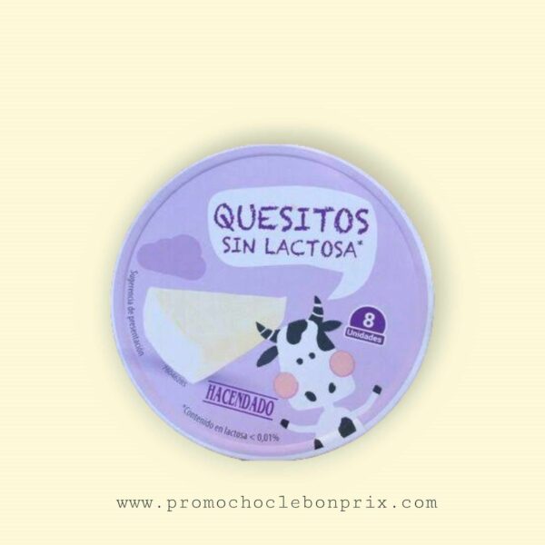 HACENDADO PORTION T8 SANS LACTOSE