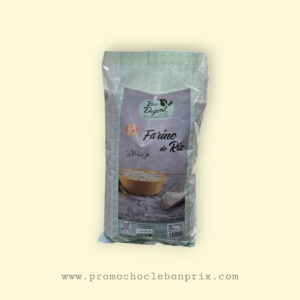 BIO DIGEST FARINE DE RIZ 800G