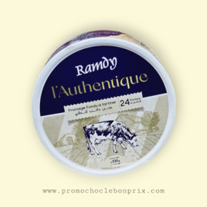 RAMDY PORTION T24