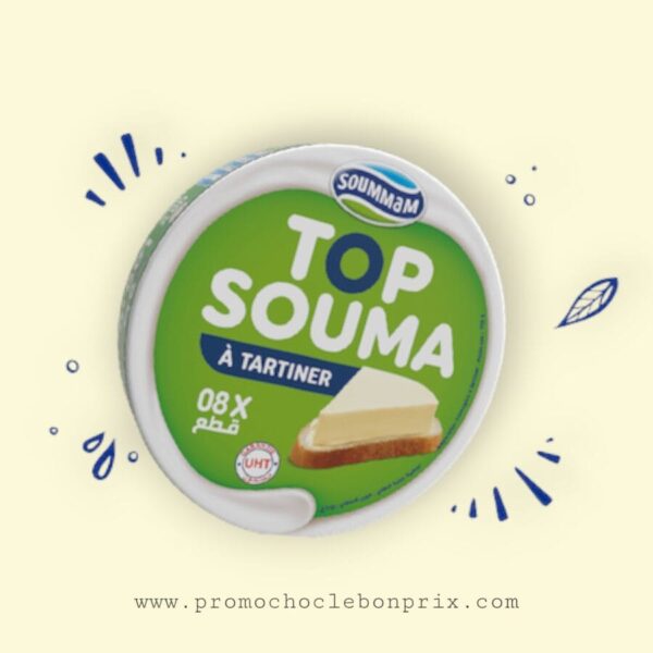 SOUMMAM PORTION T8