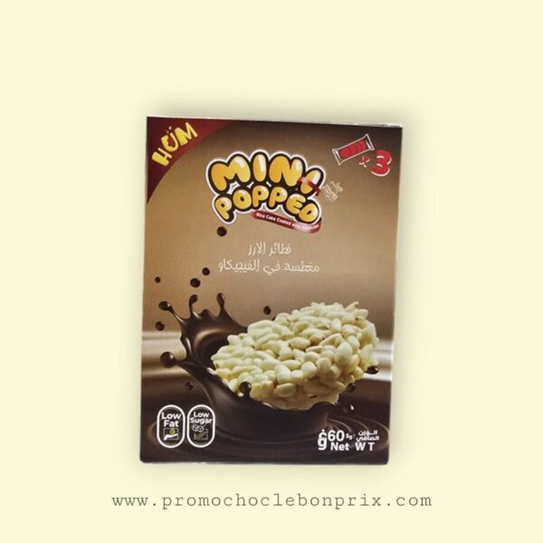 MINI POPPED 60G SANS GLUTEN