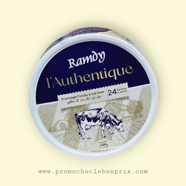 RAMDY PORTION T24