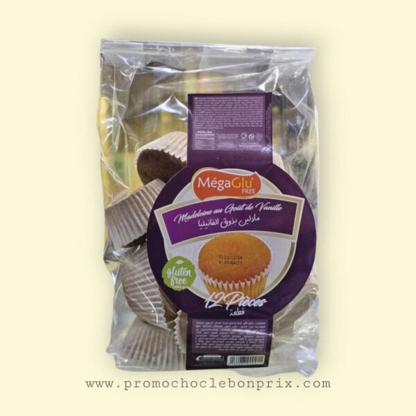 MEGAGLU MADELEINES T12