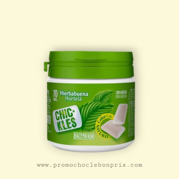 CHIC KLES GUM 70 UNITÉ HERBABURENA