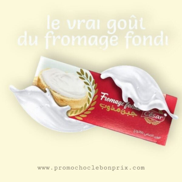 CÉSAR FROMAGE 600G