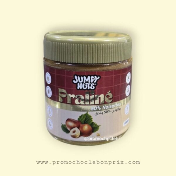 JUMPY PRALINÉ NOISETTES 50% 350G