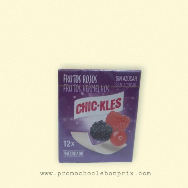 CHIC KLES GUM T12 FRUIT DES BOIS