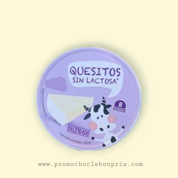 HACENDADO PORTION T8 SANS LACTOSE