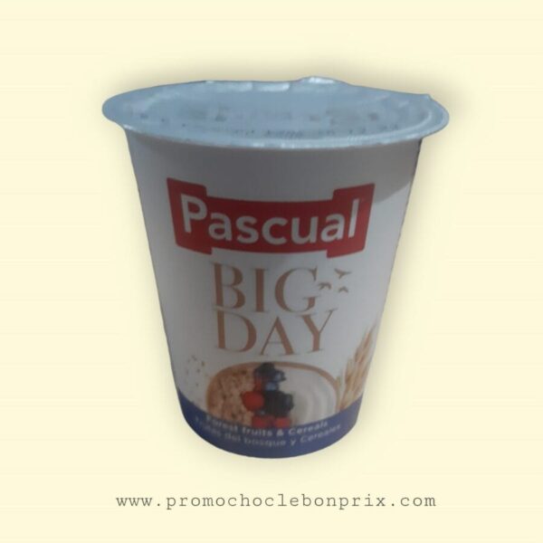 PASCUAL BIG DAY FRUIT DES BOIS