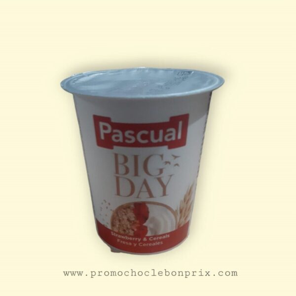 PASCUAL BIG DAY FRAMBOISE