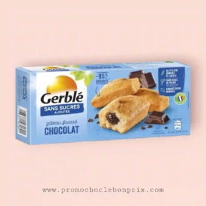 GERBLÉ SANS SUCRE GÂTEAUX FOURE CHOCOLAT