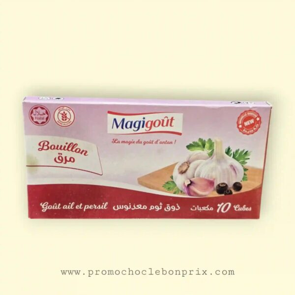 MAGIGOUT CUBES T10 GOUT AIL&PERSIL