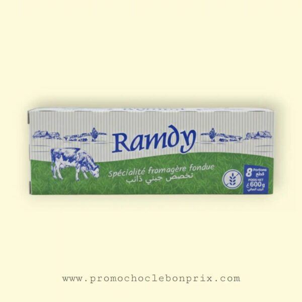 RAMDY 600G 8 BAR SANS GLUTEN