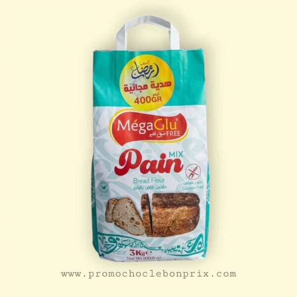 MEGAGLU 3KG MIX PAINS