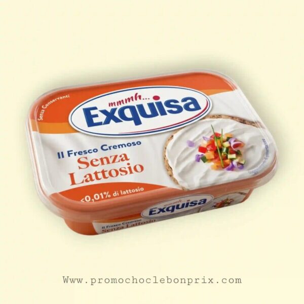 EXQUISA FROMAGE SANS GLUTEN SANS LACTOSE