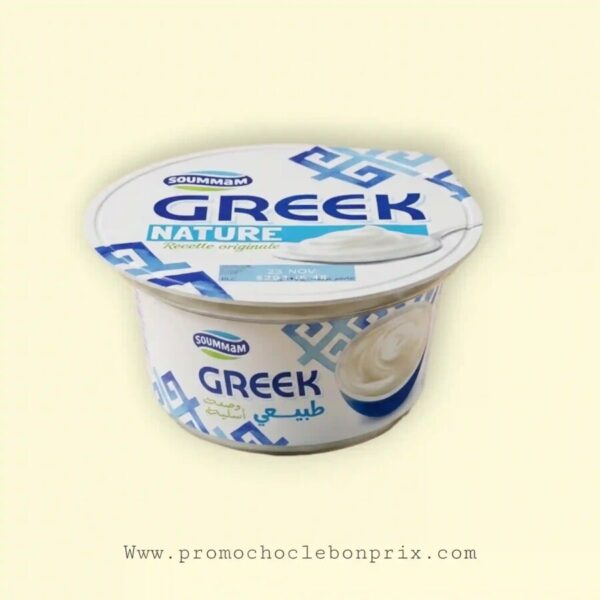 SOUMMAM GREEK NATUR 100G